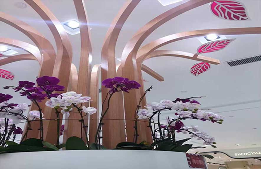 廣州白云半山麗園